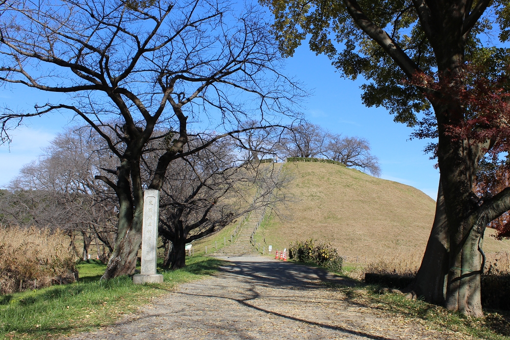 埼玉古墳群は桜の名所としても知られており、丸墓山古墳の頭頂部をはじめ、敷地内に多く植えられていた。ぜひ、桜の季節にも訪れたい