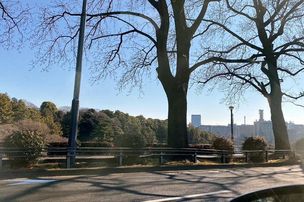 皇居内堀に沿って走る「内堀通り」は、多くの桜が植えられているお花見スポット