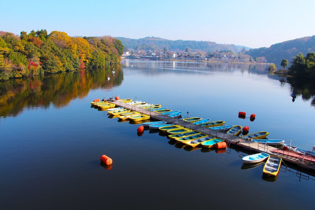 遊覧ボートに乗り、湖上から眺める紅葉と湖面に写る紅葉もこれまた美しい