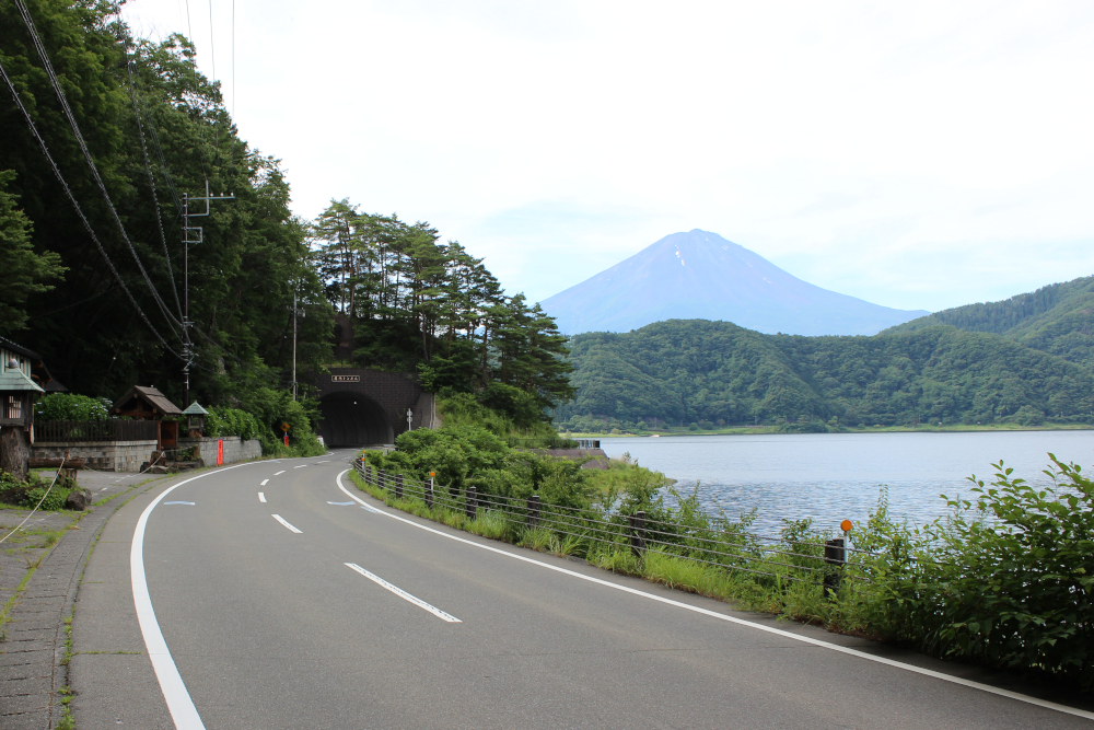 湖畔と緑に包まれる湖北ビューライン。秋には紅葉を楽しみながらのドライブができる