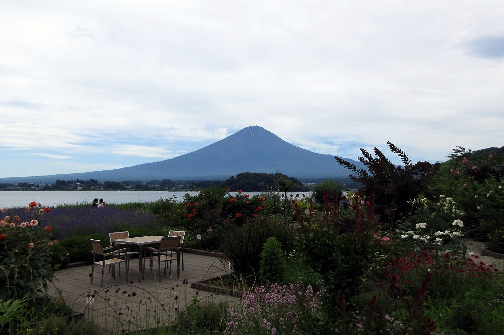 公園内に併設される「河口湖自然生活館」のカフェやレストランでは、富士山と河口湖、季節の花々を眺めながら食事ができる