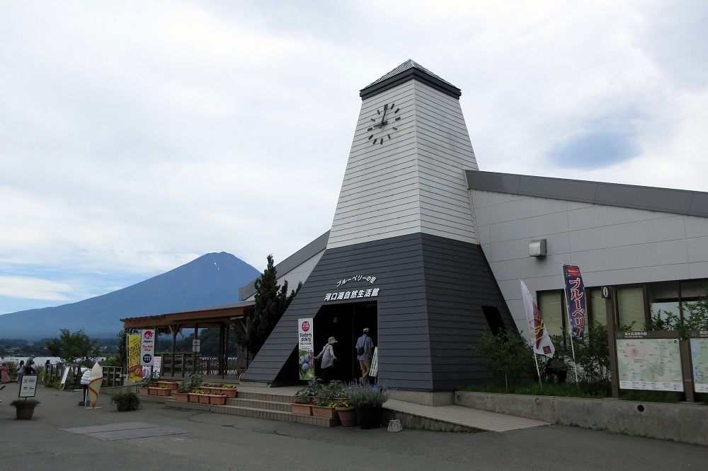 河口湖自然生活館内のショップでは、多くの富士山グッズとブルーベリー食品を取り揃えている