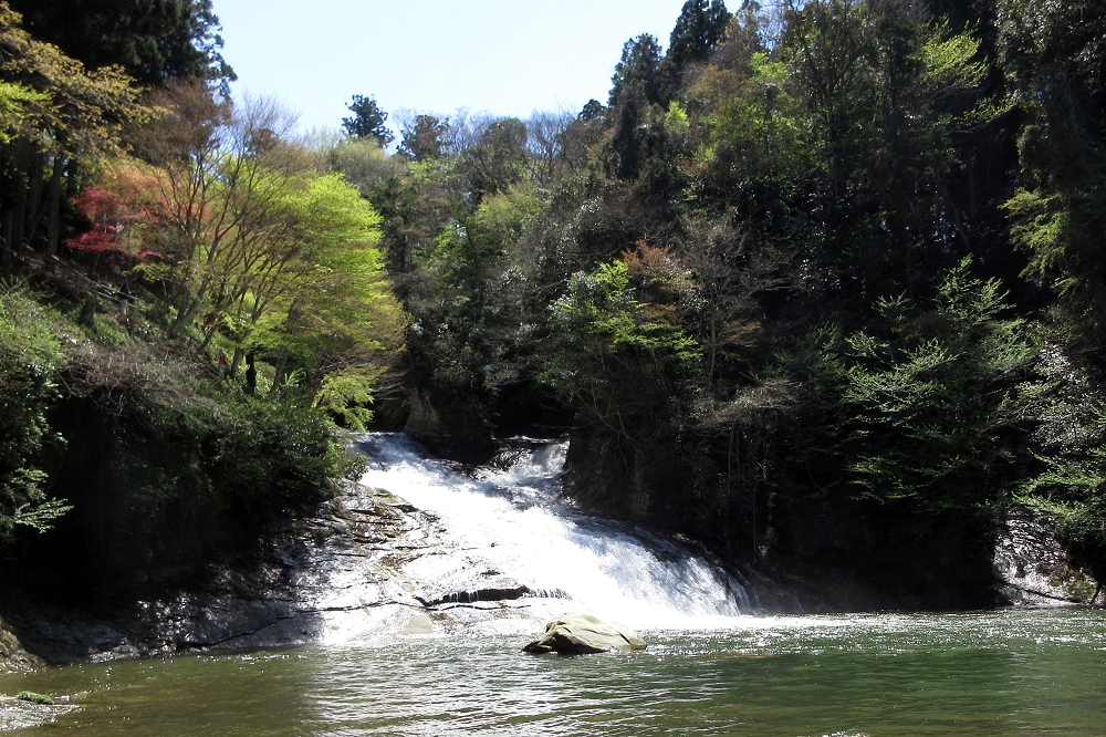 粟又の滝と滝つぼの光景。下流に向かって遊歩道が続いているが、この日は増水により進むことができなかった