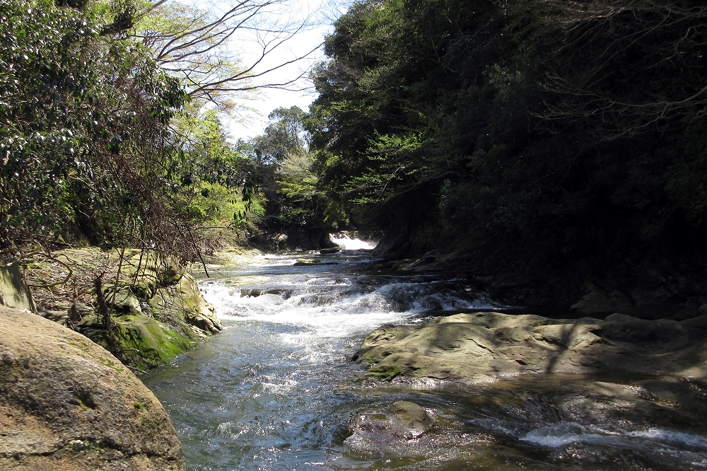 粟又の滝の上から、上流の渓谷を撮影。青々とした木々から清涼感が伝わってくる。紅葉の季節には、また違う景色が広がる