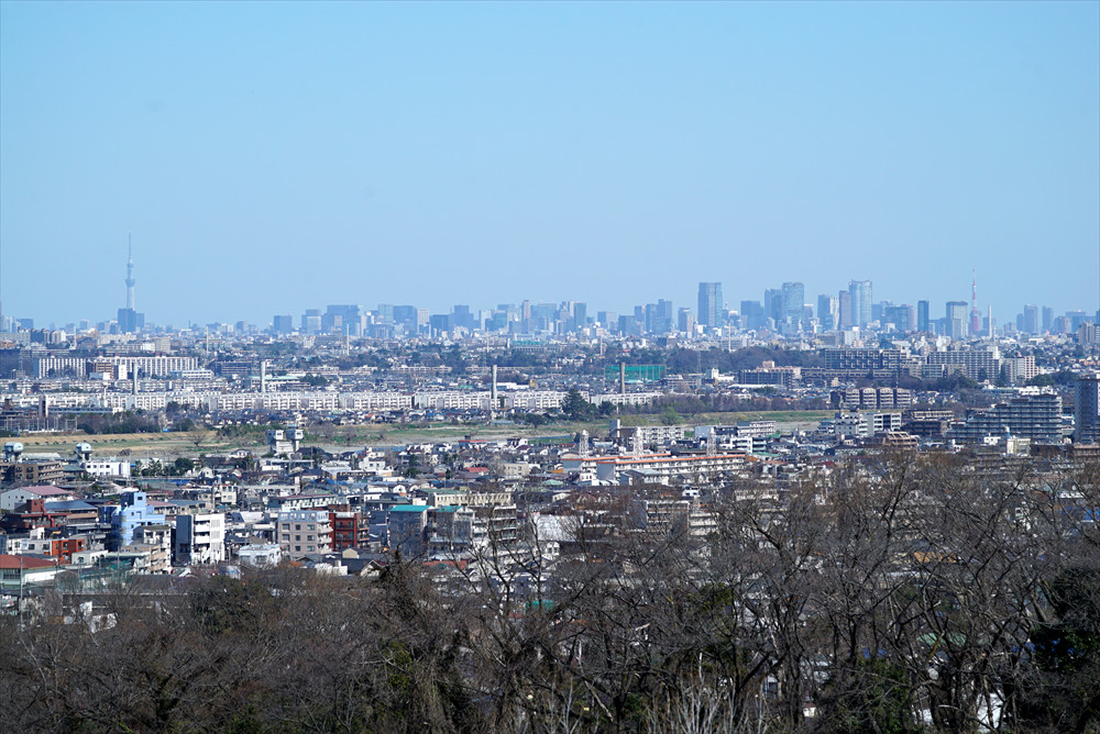  都心の高層ビル群まで見渡せる「空見の丘」からの景色 