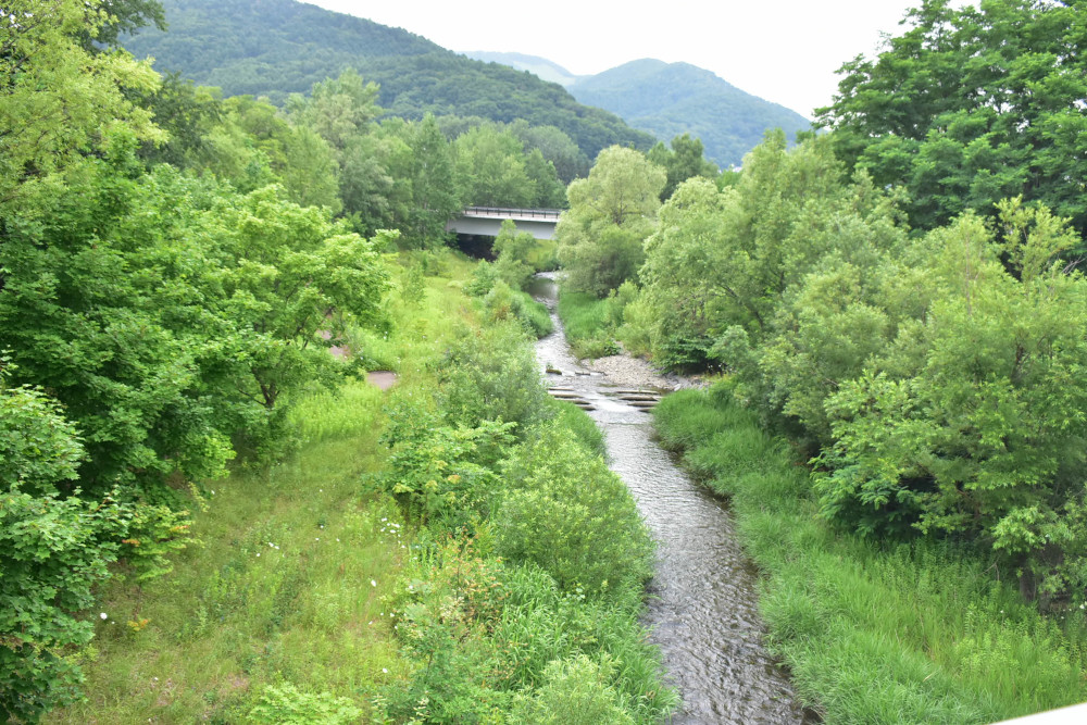 公園内を流れる真駒内川。緑豊かな自然に日々の疲れが癒される