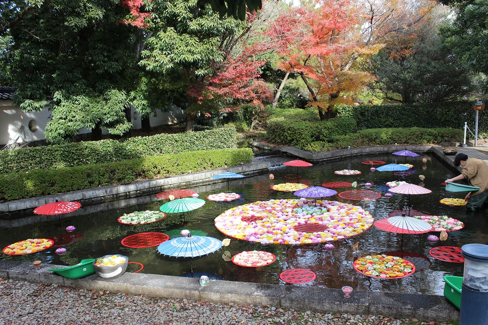 水場の花手水はスタッフによるお色直し中だった