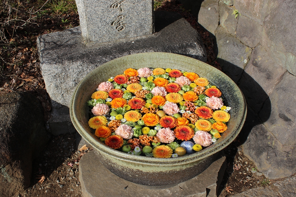 鐘楼前の花手水には、小ぶりなかわいらしい花々が浮いていた