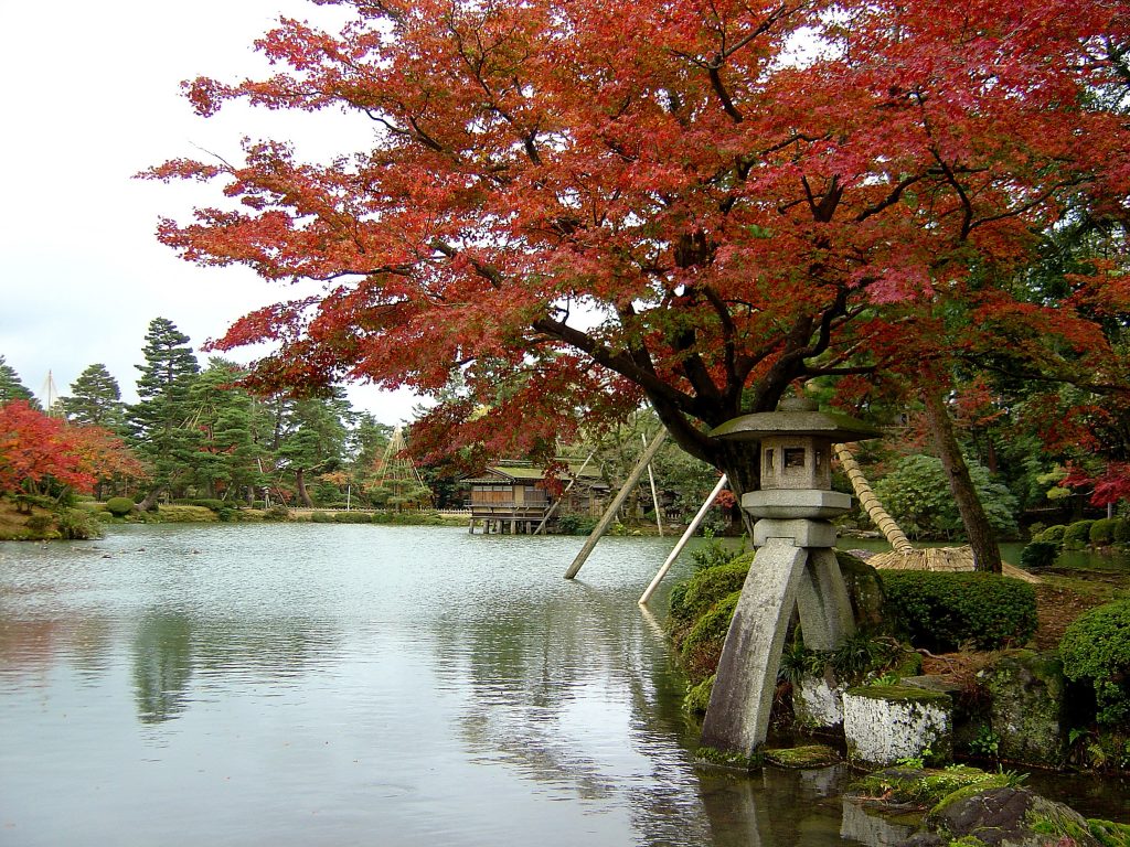 秋にかけて赤く染まる兼六園の景色