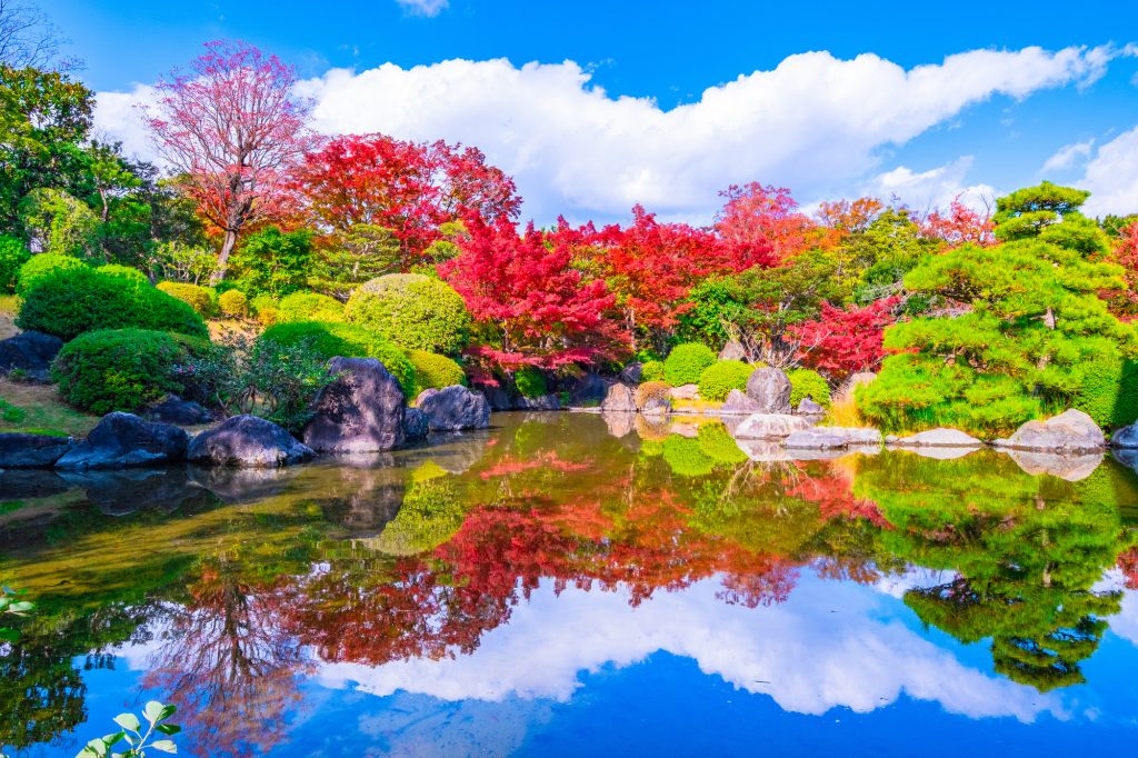 美しく色づいた紅葉が映える日本庭園