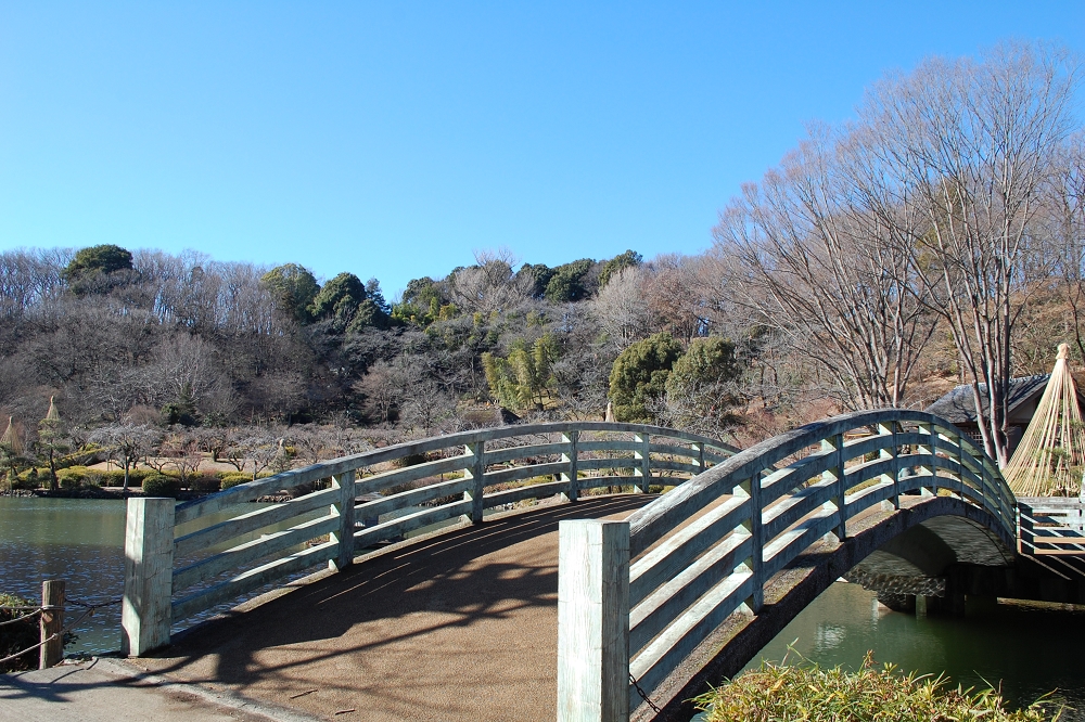 町田薬師池公園は駐車場も充実。四季折々の自然が入場無料で楽しめる
