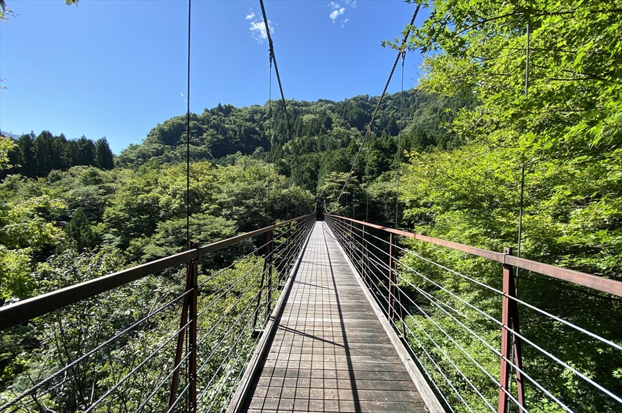  道志みち観光スポットのひとつに挙げられる「野原の吊り橋」。森の中のハイキングコースは「久保の吊り橋」に続いている 
