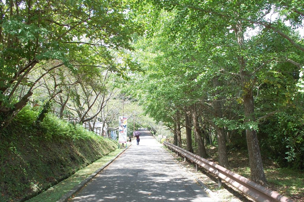  公園の入り口から館山城まで約10分。体力に応じてルートを選ぶのがおすすめ 