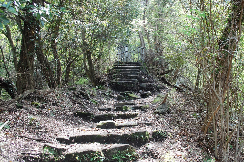 山歩きコースの階段は急勾配のうえ滑りやすい。歩きやすい格好で行くのがおすすめ 