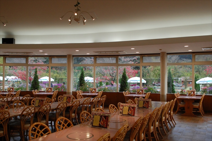 レストラン「ウェステリア」では、園内の景色を楽しみながら食事ができる 