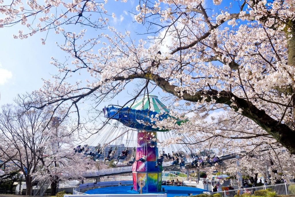 桜とアトラクションが楽しめる「HANA・BIYORI」と「よみうりランド」