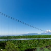 日本最長のつり橋「三島スカイウォーク」から絶景を！静岡県三島市へドライブ | カーシェアリングの三井のカーシェアーズ公式ブログ